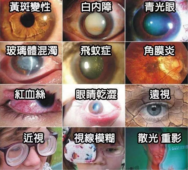 c6af624267f550f1abe4a7da6e40a6bc.jpg